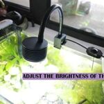 LED Aquarium Lighting Asta 20 Nano Dimmable Planted Tank Lights 6500K with Gooseneck for Plant Freshwater Aquarium Fish Tank Refugium(Freshwater) - Image 6