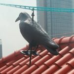 Natural Enemy Crow Scarecrow Bird Repellent Outdoor Pest Control - Image 4