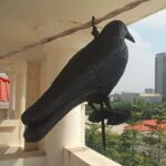 Natural Enemy Crow Scarecrow Bird Repellent Outdoor Pest Control - Image 3
