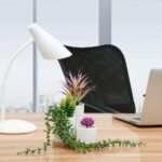 Artificial Hanging Succulent Plants 2 Pack String of Pearls Plant Artificial Hanging Plants Unpotted Faux Plants Decor(Small) - Image 5