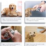 Electric Dog Nail Grinder Rechargeable Low Noise Pet Nail Grinder Tool for Painless Paw Grooming, Trimming, Smoothing for Small Medium Large Dogs Cats Pets - Image 7