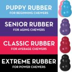 Puppy Toy Natural Teething Rubber Fun to Chew, Chase and Fetch for Large Puppies(Colour May Vary) - Image 3