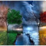 DIY Paint by Numbers Kit for Adults Four Season Tree of Life DIY Paint by Numbers Landscape Scene Paintings Arts Craft for Home Wall Decor Pre Printed Art Quality Canvas, 3 Brushes, 24 Paints
