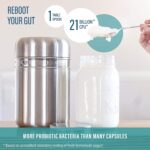 Stainless Steel Yoghurt Maker with 1 Quart Glass Jar and Complete Recipe Book to Make 12+ Easy Homemade Dairy Free and Milk Yogurts - Image 7