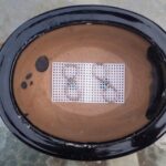 50 Count 5x5cm Rigid Bonsai and Flower Pot Drainage Mesh Screens - Image 5
