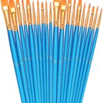 Paint Brushes Set, 2 Pack 20 Pcs Round Pointed Tip Paintbrushes Nylon Hair Artist Acrylic Paint Brushes for Acrylic Oil Watercolor, Face Nail Art, Miniature Detailing & Rock Painting, Blue