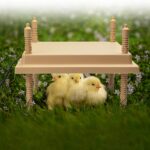 Chick Brooder Hen / Mother Hen Heat Lamp Replacement Up to 25 Chicks 30x30cm - Image 3