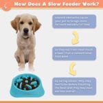 Zenify Dog Bowl Slow Feeder Large 500ml Healthy Eating Pet Interactive Feeder with Anti Skid Non Slip Grip Base to Reduce Overeating Bloating Vomiting Obesity for Wet Dry Raw Food and Water(Blue) - Image 3
