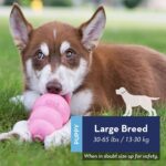 Puppy Toy Natural Teething Rubber Fun to Chew, Chase and Fetch for Large Puppies(Colour May Vary) - Image 2