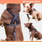 Dog Harness Chest Vest Cross Adjustable Reflective for Medium Dogs(Black, Medium) - Image 2