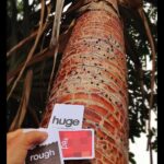 Outdoor Scavenger Card Game - Image 4