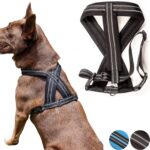 Dog Harness Chest Vest Cross Adjustable Reflective for Medium Dogs(Black, Medium)