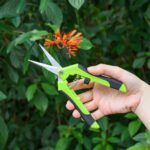 2PCS Pruning Shears Plant Scissors Trim Trees Snips Branch Garden Secateurs Tool - Image 2