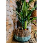 4PC Terracotta Automatic Plant Self Watering Spikes Water Drip Irrigation System - Image 4