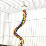 105 Pet Colorful Parrot Bird Rope Perches Cage Comfy Perch Bungees for Birds Toy - Image 5