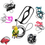 Pet Parrot Bird Harness Lead Leash Flying Training Rope Cockatiel Outdoor AU