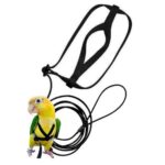 Pet Parrot Bird Harness Lead Leash Flying Training Rope Cockatiel Outdoor AU - Image 4