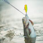 Fishing Hook Remover Separator Detacher Tools Fish Hook Detacher Tackle Removal - Image 5