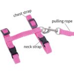 Running Walking Pet Cat Rabbit Soft Harness Leash Adjustable Bunny Traction Rope - Image 7