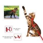 Running Walking Pet Cat Rabbit Soft Harness Leash Adjustable Bunny Traction Rope - Image 3