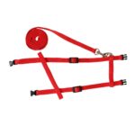 Running Walking Pet Rabbit Soft Harness Leash Adjustable Bunny Traction Rope AU - Image 5