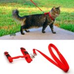 Running Walking Pet Cat Rabbit Soft Harness Leash Adjustable Bunny Traction Rope - Image 4