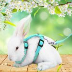 Running Walking Pet Rabbit Soft Harness Leash Adjustable Bunny Traction Rope AU - Image 2