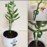 10PCS/SET Garden Single Stem Support Ring Plants Support Stake Fiberglass Flower - Image 7