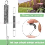 ANTI SURGE SPRING KIT + BRIGGS and STRATTON GOVERNOR FOR SPRINT CLASSIC QUATTRO - Image 2