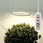 Indoor USB Full Spectrum Dimmable Plant Growing LED Grow Light Plants Ring Lamp - Image 4