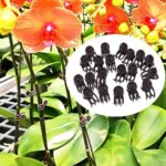 100PCS Rose Plant Garden Clips Vegetable Support Flower Holding Vine Plastic AU - Image 3