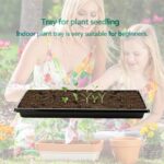 10pcs Seedling Tray Fine Holes Plant Propagation Seedling Hydroponic Rectangular - Image 7