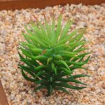 12X Mixed Artificial Succulents Plant Fake Plants Garden Home Office Decor Decal - Image 2