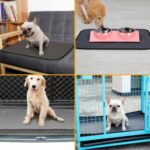 1pc/2pcs Washable Reusable Pet Training Pads Pee Mat Absorbent Cushion Bed