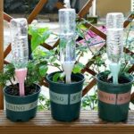3/6 Pcs Plant Drip Auto Irrigation System Potted Plant Waterer Self Watering - Image 3