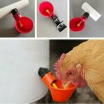 5Pcs Water Drinking Cups Chicken Automatic Poultry Drinkers Hen Bucket Waterer - Image 2