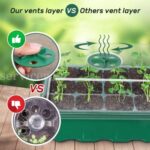 5 Set 12 Hole Plant Seed Grow Box Propagation Nursery Seedling Starter Tray Box