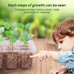 5 Set 12 Hole Plant Seed Grow Box Propagation Nursery Seedling Starter Tray Box - Image 3