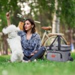 Cooler Bag Outdoor Portable Lunch Bag Thermal Insulated Food Container Bag NEW - Image 2