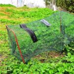 Foldable Fishing Bait Trap Fish Net Cast Dip Cage Crab Minnow Crawdad Shrimp AU - Image 6