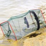 Foldable Fishing Bait Trap Fish Net Cast Dip Cage Crab Minnow Crawdad Shrimp AU - Image 2