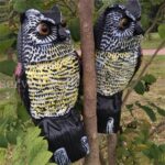 Owl Decoy Pigeon Crows Scarer Bird Deterrent Realistic Scarecrow Repeller Patio - Image 2