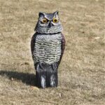 Owl Decoy Pigeon Crows Scarer Bird Deterrent Realistic Scarecrow Repeller Patio - Image 5