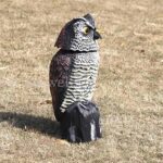 Owl Decoy Pigeon Crows Scarer Bird Deterrent Realistic Scarecrow Repeller Patio - Image 4