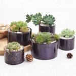 Silicone Mold Flower Succulent Pot Resin Epoxy Making Cup Candle Holder Mould - Image 3