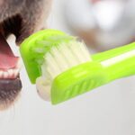 Three-head Pet toothbrush multi-angle bad breath and tartar dental careN Tx AU - Image 3