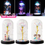 Rose in Glass Romantic Wedding Gift LED Light Flower Dome Eternal Love Beauty
