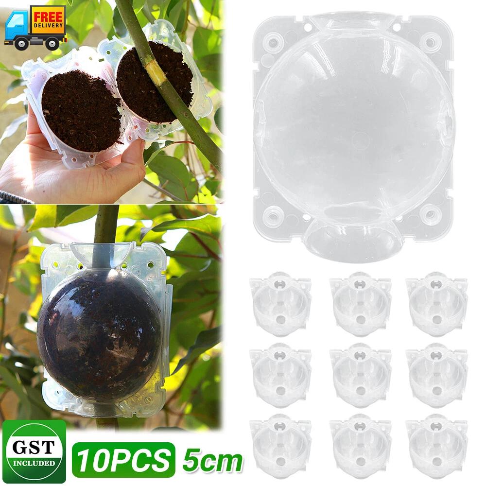 Clear Plant Rooting High Pressure Propagation Ball Root Grow Grafting Box