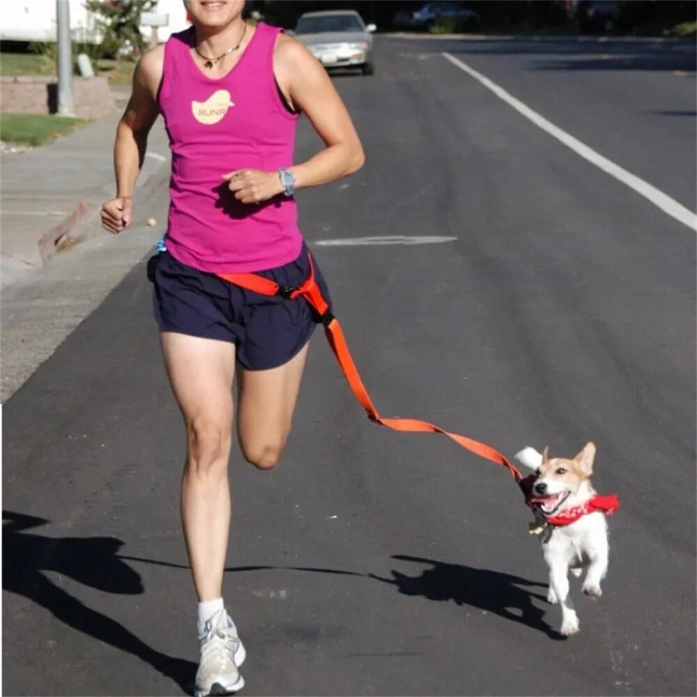 Adjustable Hands Free Leash Dog Lead W/ Waist Belt Jogging Walking Running - Image 6