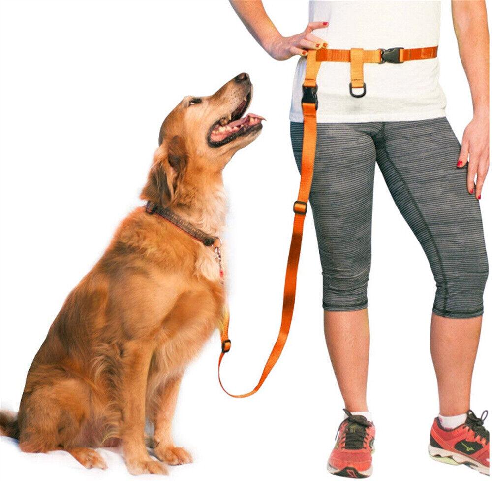 Adjustable Hands Free Leash Dog Lead W/ Waist Belt Jogging Walking Running - Image 5
